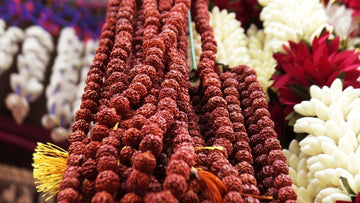 4 Mukhi Rudraksha Pendant Benefits for Students