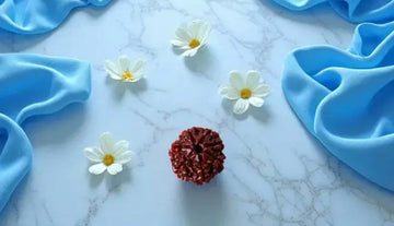 Why Anjali Originals’ 7 Mukhi Rudraksha Pendant Is Perfect for Wealth