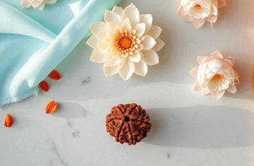 Top Reasons to Wear a 6 Mukhi Rudraksha Pendant | Anjali Originals